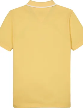 Polo à Manches Courtes Flag Regular Fit Citronella 16 Années Garçon