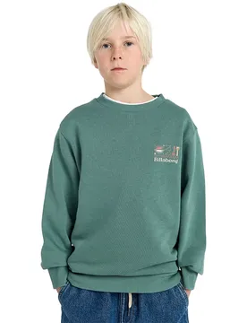 Sweat-shirt Foundation Cr Sagebrush 16 Années Garçon