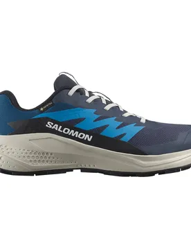 Scarpe Da Trail Running Alphaglide Gore-tex® Blue Nights / Lunar Rock / French Blue EU 42