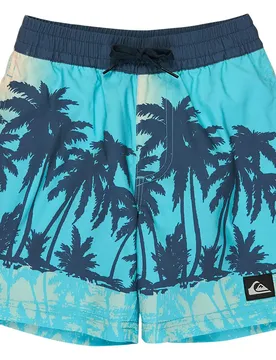 Short De Bain Everyday Printed Volley 13´´ Aqua Thermotropics 7 Années Garçon