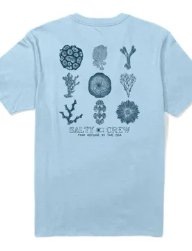 T-shirt à Manches Courtes Coral Head Clear Sky XL