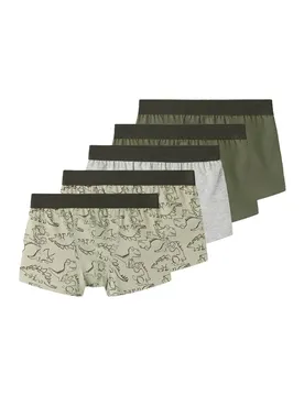 Boxers 132338 5 Unità Seagrass / Dino / Beetle / Grey Melange 3 Anni