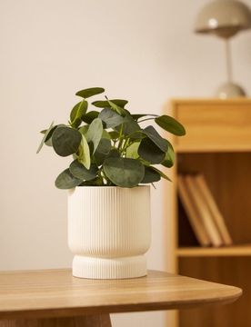 Vaso da fiori scanalato - bianco
