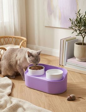 Set di ciotole elevate per cani e gatti con contenitore per cibo - viola