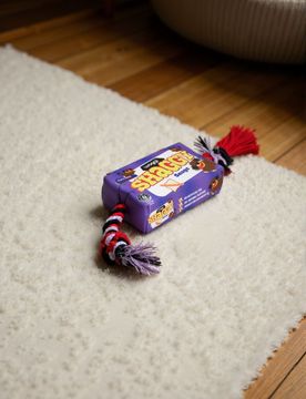 Giocattolo per cani - viola