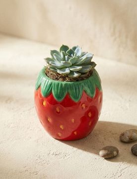Sinsay - Vaso - rosso