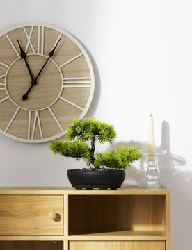 Pianta decorativa bonsai in vaso - verde