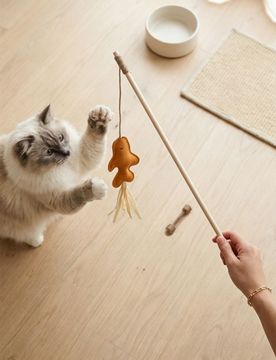 Canna da pesca per gatti - marrone dorato