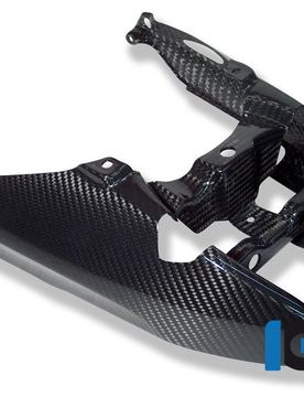 Cover Faro Posteriore Carbonio Ilmberger Bmw K 1300 R 2008-2016