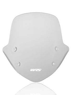 Cupolino Standard Fume' Bmw R 1250 R 2019-2024