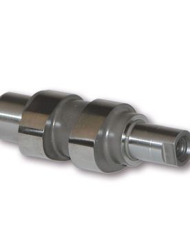 Albero A Camme Power Cam Malaguti Centro 50 4t Euro 2 (C432m)