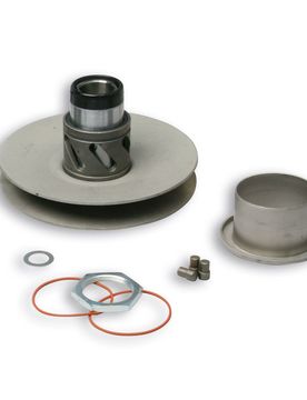 Complessivo Pulegge Posteriori Rear Pulley System Malaguti F10 50 2t