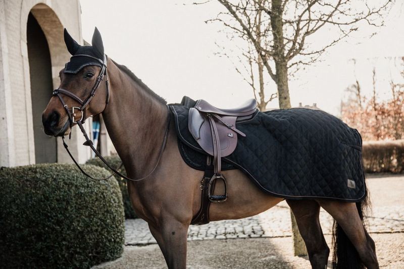Ausreitdecke 160g schwarz L