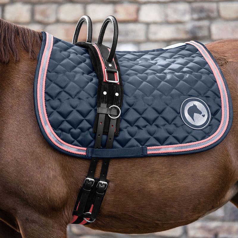 Longiergurt mit zwei Handgriffen, schwarz/rosarot Pony