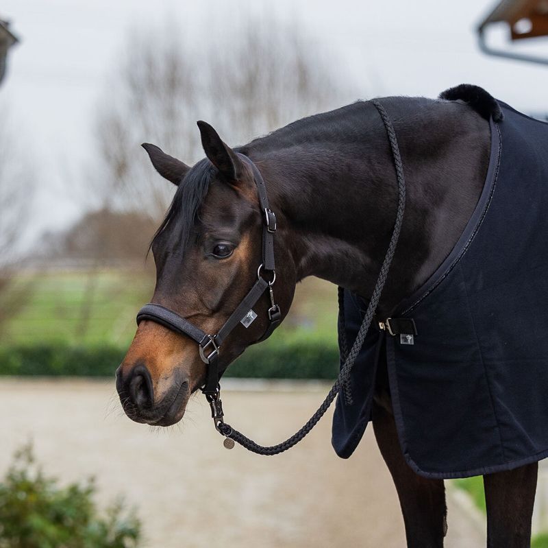 Halfter UNO PLUS Royal Glitter, black Cob
