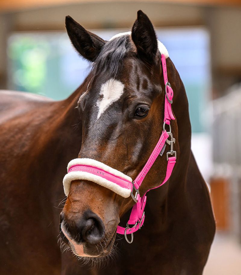 Halfter Elegant, pink PON