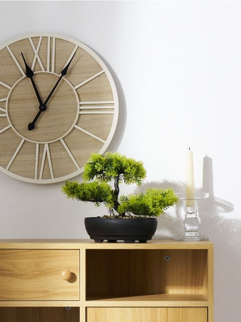 Pianta decorativa bonsai in vaso - verde