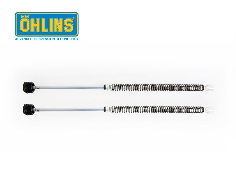 Cartuccia Forcella Ohlins Honda Msx 125 2013-2019